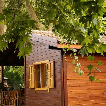 Maji Village Çıralı Zewnętrze zdjęcie