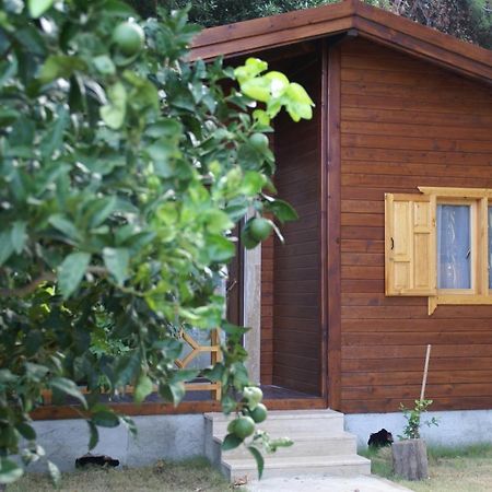 Maji Village Çıralı Zewnętrze zdjęcie
