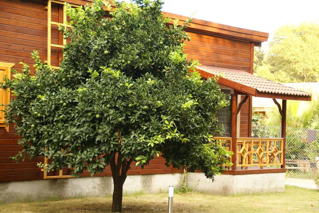 Maji Village Çıralı Zewnętrze zdjęcie