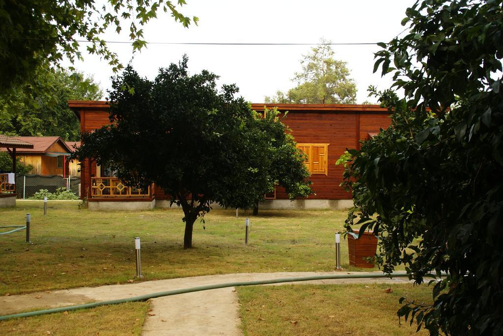 Maji Village Çıralı Zewnętrze zdjęcie