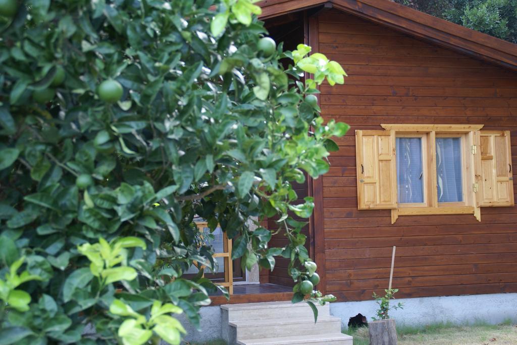 Maji Village Çıralı Zewnętrze zdjęcie
