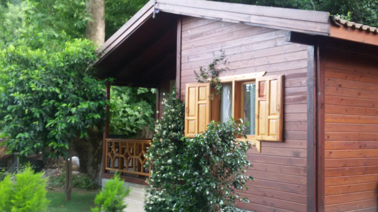 Maji Village Çıralı Zewnętrze zdjęcie
