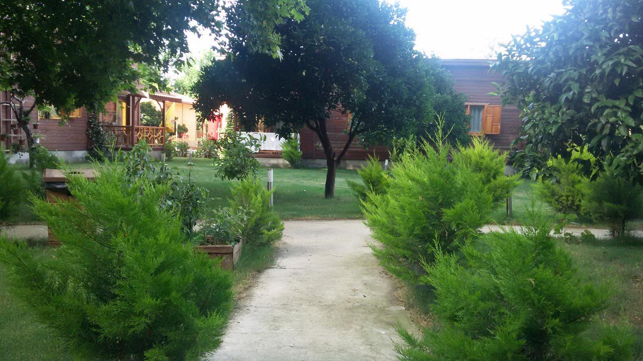 Maji Village Çıralı Zewnętrze zdjęcie