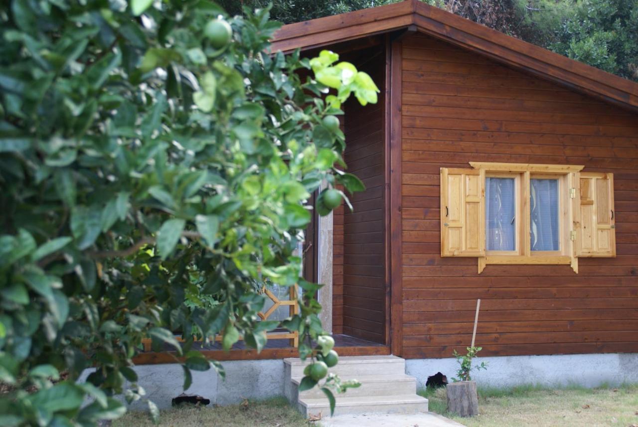 Maji Village Çıralı Zewnętrze zdjęcie