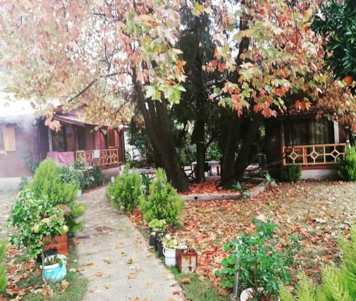 Maji Village Çıralı Zewnętrze zdjęcie