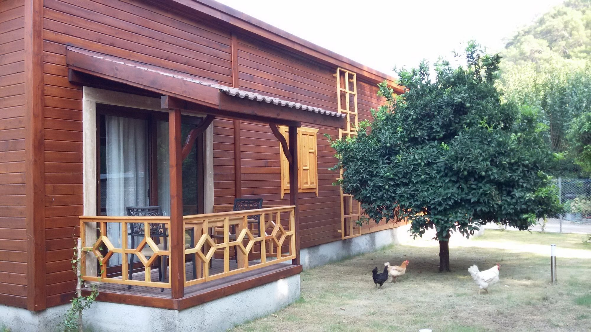 Maji Village Çıralı Zewnętrze zdjęcie